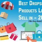 101+-Best-Dropshipping-Products-To-Sell-Online-in-2022-[ With Sales Guides]