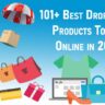 101+-Best-Dropshipping-Products-To-Sell-Online-in-2023-[ With Sales Guides]