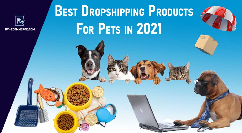 101+ Best Dropshipping Products To Sell Online for 2021